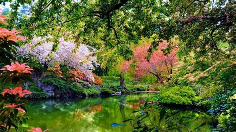 Download Enjoy The Tranquility Of Nature In A Garden