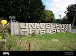 University of Sussex campus in Brighton UK Stock Photo - Alamy