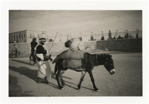 Man With Donkey Jerusalem C1931 To 1948