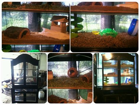 Homemade Hamster Cages And Other Pet Palaces