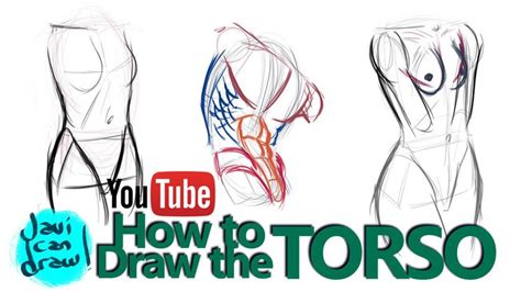 How To Draw The Male And Female Torso A Tutorial By Javicandraw On