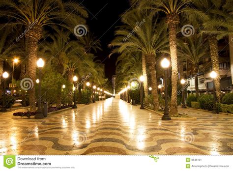 Palm Tree Pathway At Night Stock Image Image Of Pedestrial 9645191