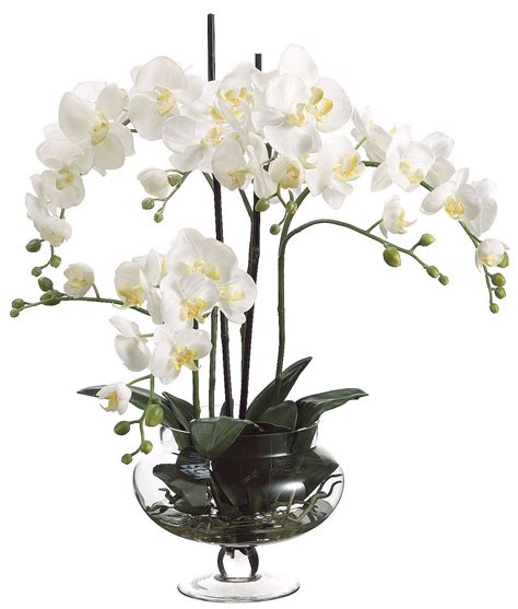 Phalaenopsis Orchid Accent | Orchid arrangements, Orchid ...