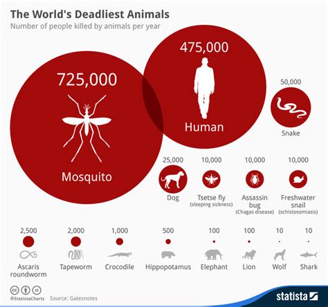 Scientists Can Create Malaria Proof Mosquitoes But Is The World Ready