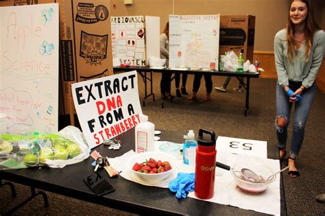 Students Experiment At Science Fair Beaufort County Community College