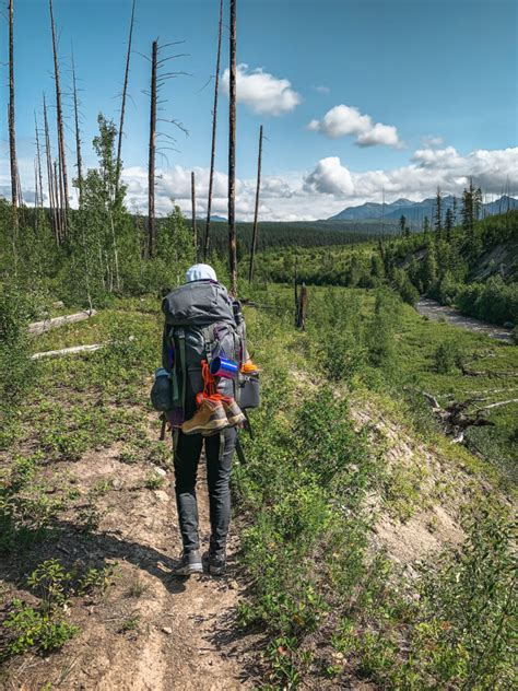 Logging Lake The Easiest Backcountry Overnight Trip In Glacier Np