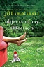 Objects of My Affection | Book by Jill Smolinski | Official Publisher ...
