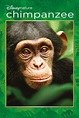 Chimpanzee (2012) — The Movie Database (TMDB)