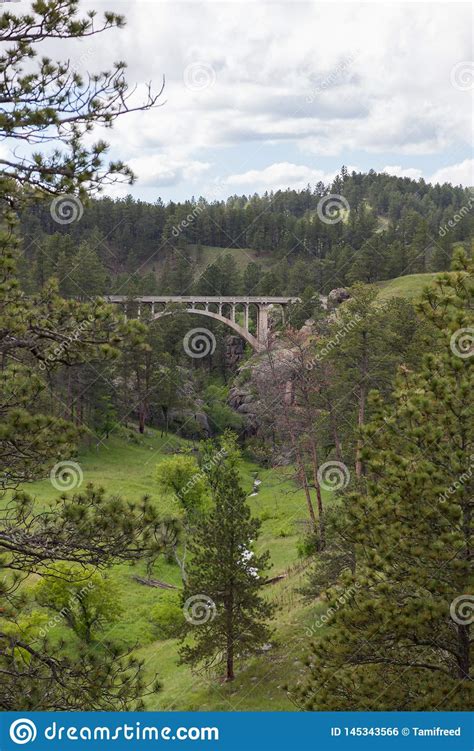 Beaver Creek Bridge Stock Photo Image Of National Park 145343566