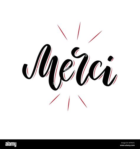 Vector Calligraphy Merci Poster Or Card Black Letters Isolated On The