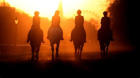 Horses From The Household Cavalry Mounted Regiment Are Taken On A Ride