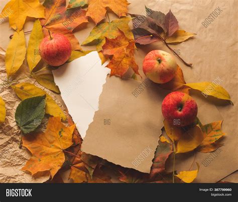 Autumn Fall Flat Lay Image And Photo Free Trial Bigstock