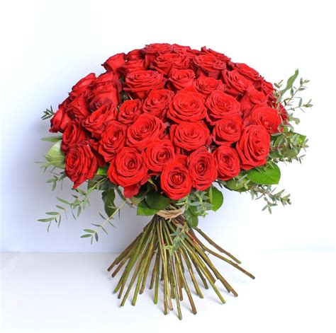 Luxury 50 Red Roses Buy Online Or Call 023 8044 0011
