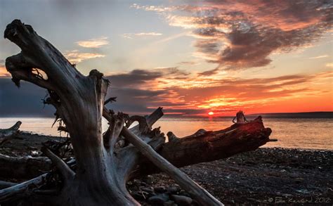 Driftwood Huntington Point Beach Sunset Ellie Kennard