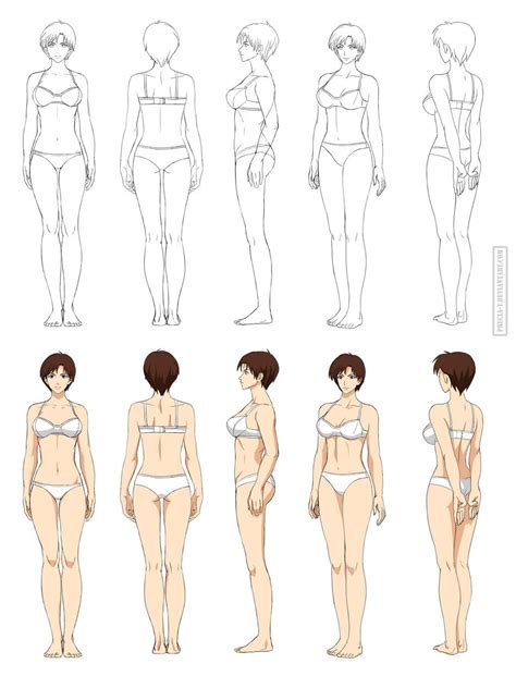 Anime Anatomy Full Body Commission By Precia T On Deviantart Body Drawing Body Sketches