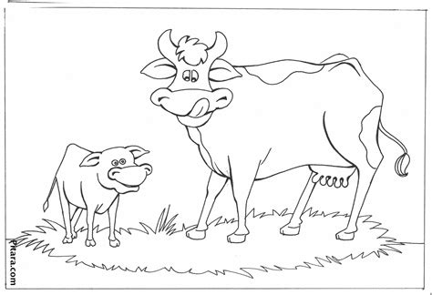 Domestic Sheep Coloring Page