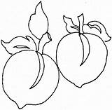 Coloring Peaches sketch template