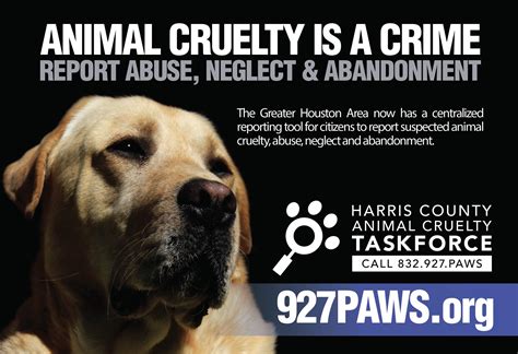 Cruelty - Houston Humane Society | Animal Shelter | Adopt a Pet | Pet