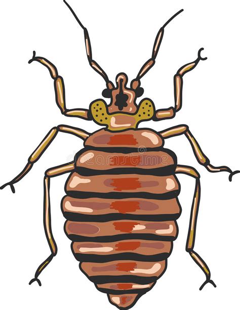 Bed Bug Vector Clip Art Illustration Image Stock Vector