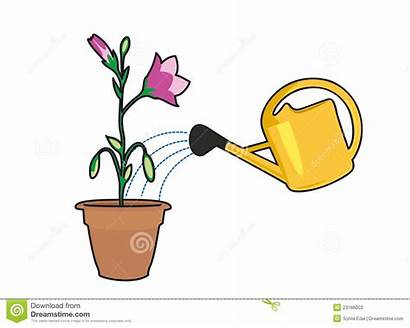 Plants Clipart Watering Watered Clip Water Clipground