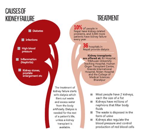 A Mysterious Rash Of Kidney Failures Nation Nepali Times
