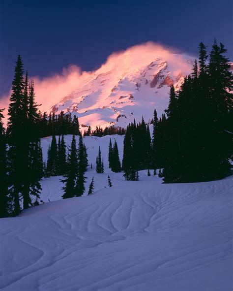 View Of Mt Rainier In Winter Mt Photograph By Panoramic Images Fine