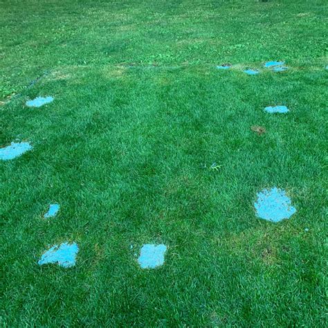 Repairing Dog Urine Spots On Fake Grass Doleader