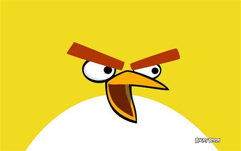 Angry Birds Hd Game Wallpapers Gamescay