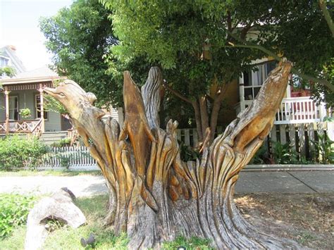 Tree Sculptures Galveston 2020 Alles Wat U Moet Weten Voordat Je