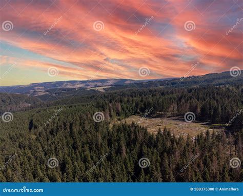 Sunset In The Thuringian Forest East Germany 03 Stock Photo Image Of