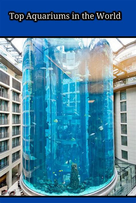 The 5 Best Aquariums In The World Posts Amazing Aquariums Aquarium