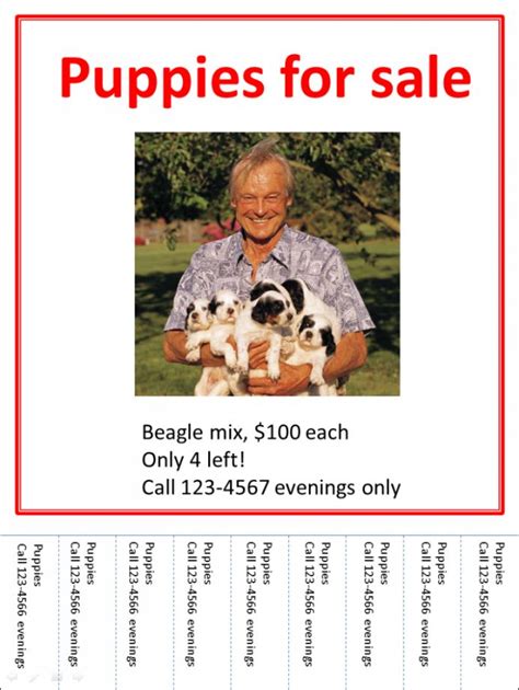 Explore Our Image Of Puppies For Sale Flyer Template For Free Sale