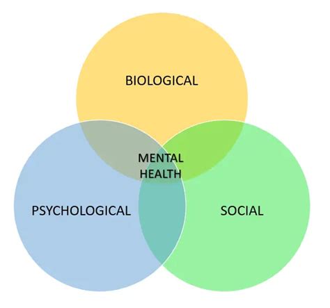 The Biopsychosocial Model In Mental Health Mental Health General