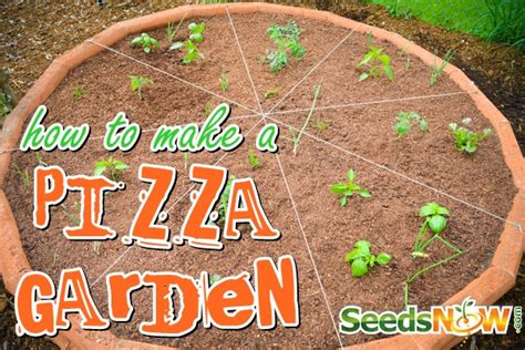 How To Make A Pizza Garden