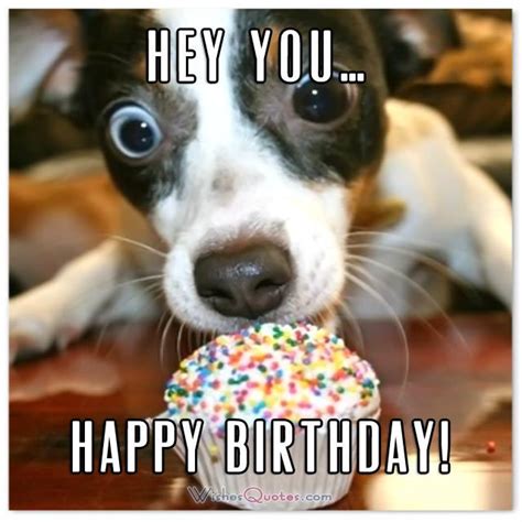 Funny Birthday Wishes For Dog The Cake Boutique