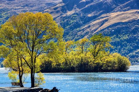 Fall In New Zealand Photograph By Shawn Dechant Fine Art America