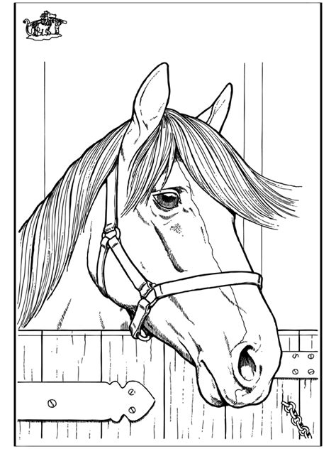 Funnycoloringcom Animals Coloring Pages Horses Horse Head 2 Horse