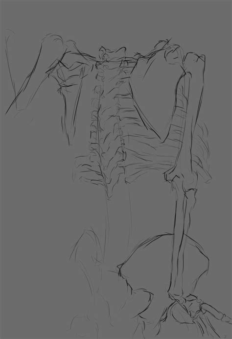 Simple Skeleton Back Gesture By Winged1 On Deviantart