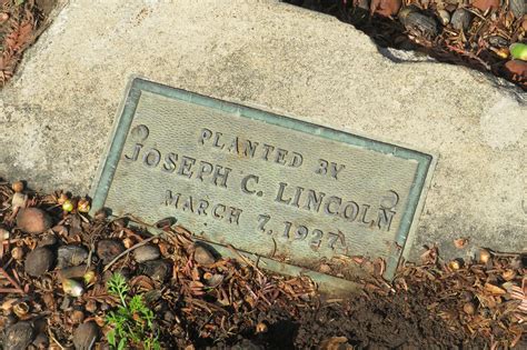 Planting Memories: How Riverside's Friendship Grove preserves the