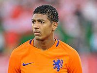 He was born on 18 november 2013. Patrick Van Aanholt Wiki: Young, Photos, Ethnicity & Gay ...