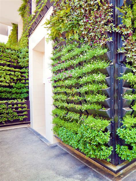 How To Build A Vertical Garden At Home Au