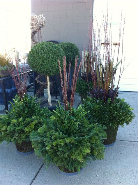 17 Best Images About Winter Containers On Pinterest
