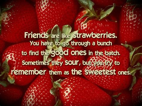 Strawberry fields forever & ever an inspiring quote influenced by the beatles song 'strawberry fields forever'. 110 best Strawberry Wedding images on Pinterest ...