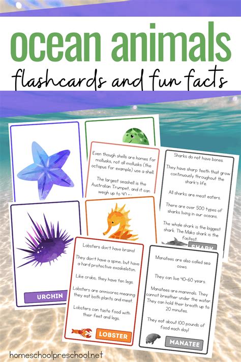 Free Printable Ocean Animals Facts For Kids