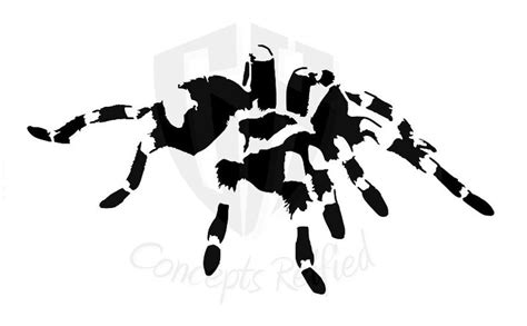 Tarantula Reusable Stencil Many Size Variations To Choose Etsy