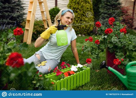 Woman With Spray Watering Flowers In The Garden Stock Image Image Of