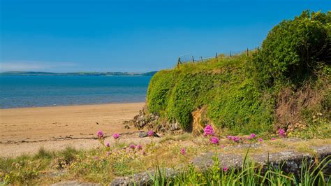 Plage De Duncannon Duncannon Location Bungalow à Partir De € 84nuit