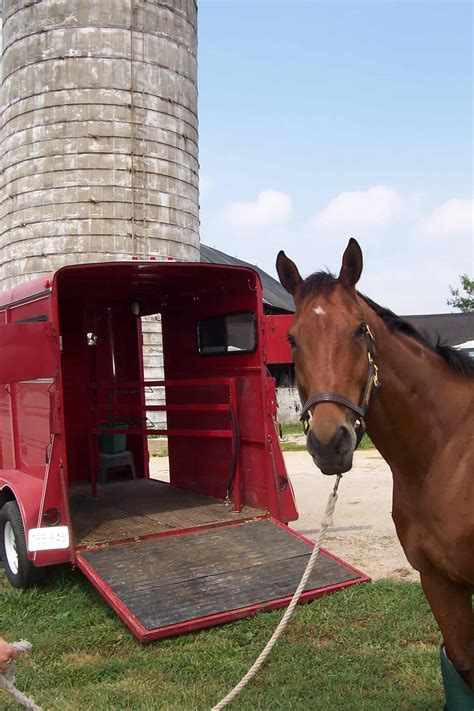 I've done lots of research on attachment theory over the past couple. How Do I Get My Horse to Load in a Trailer? - The Horse