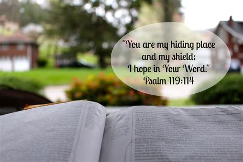You Are My Hiding Place And My Shield I Hope In Your Word Psalm 119114
