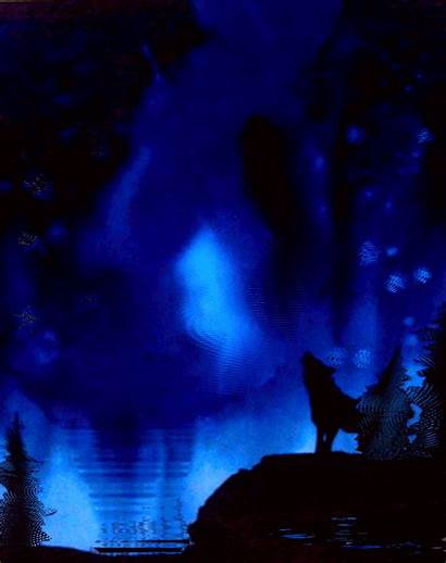 Wolf Night Howling Aim4beauty Deviantart